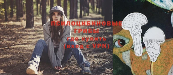 дживик Алзамай