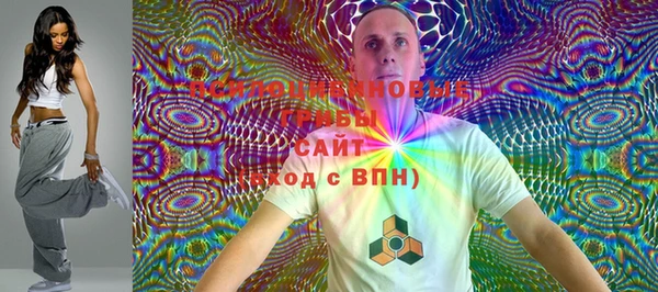 индика Алексеевка