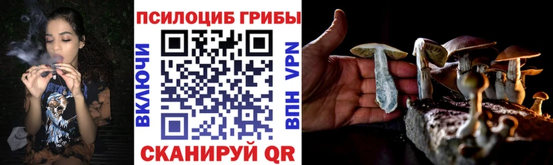 площадка состав Мамадыш Псилоцибиновые грибы MAGIC MUSHROOMS цена